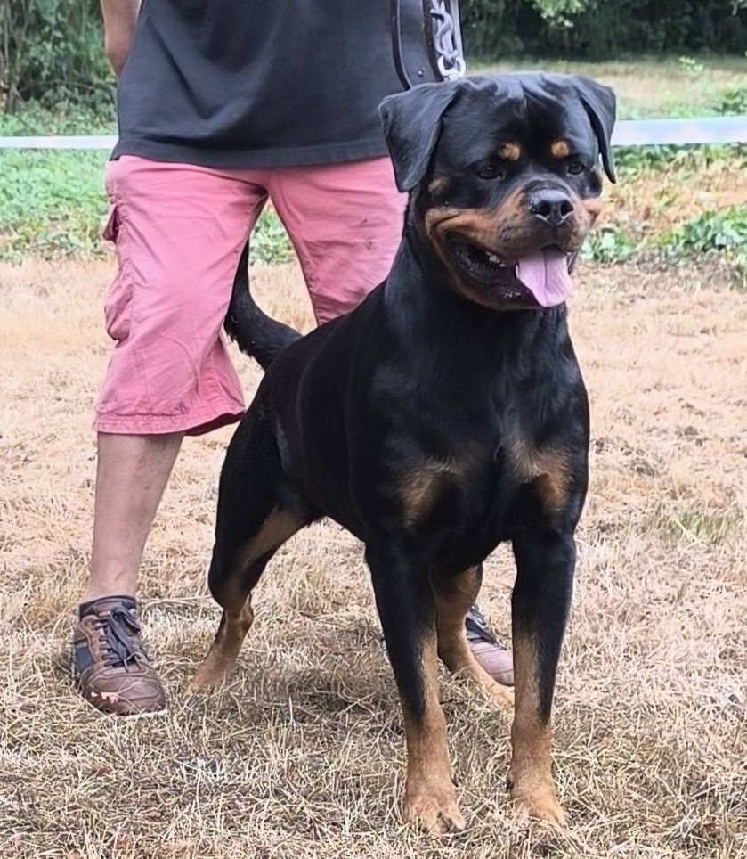 CH. Tao Du Temple D'Adranos