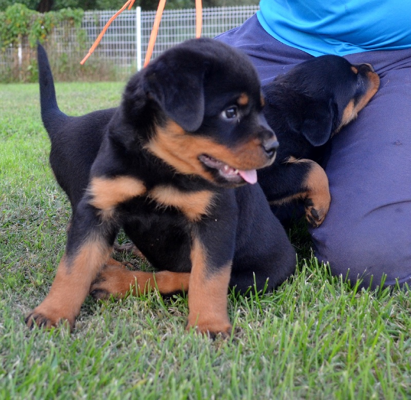 Bébés Eli/Barny
